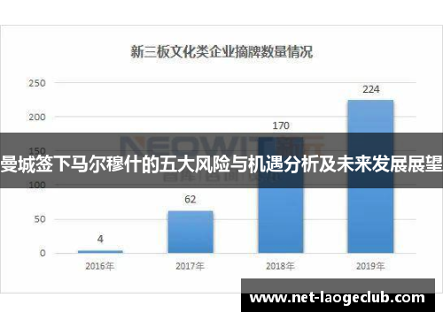曼城签下马尔穆什的五大风险与机遇分析及未来发展展望