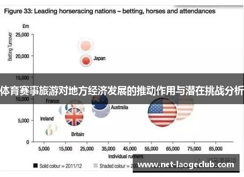 体育赛事旅游对地方经济发展的推动作用与潜在挑战分析
