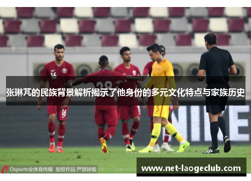 张琳芃的民族背景解析揭示了他身份的多元文化特点与家族历史