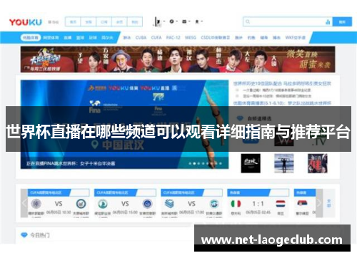 世界杯直播在哪些频道可以观看详细指南与推荐平台