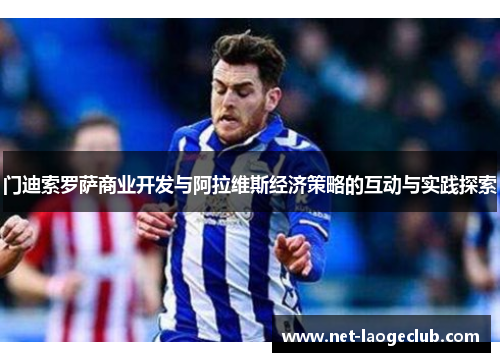 门迪索罗萨商业开发与阿拉维斯经济策略的互动与实践探索